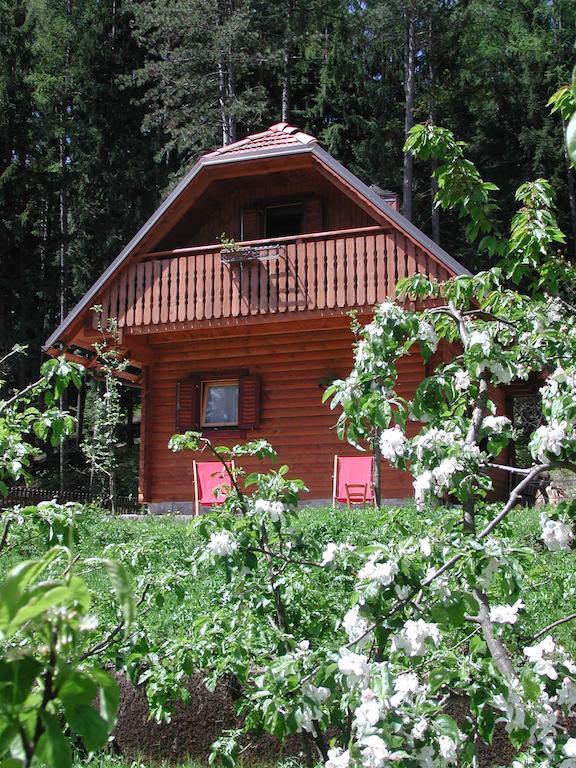 Agriturismo Bosco Di Museis Villa Cercivento Exterior photo